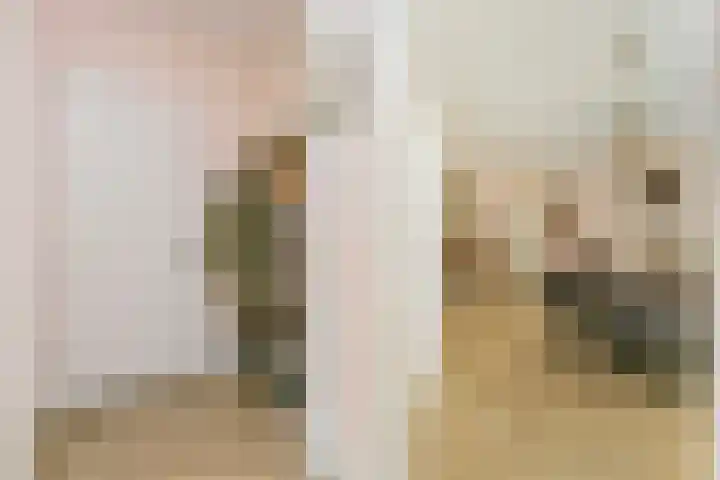 Sluishoofd 3 Wijk bij Duurstede thumbnail 6