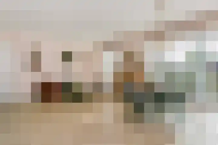 Sluishoofd 3 Wijk bij Duurstede thumbnail 9
