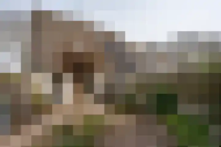 Sluiskamp 3001 Wijchen thumbnail 22