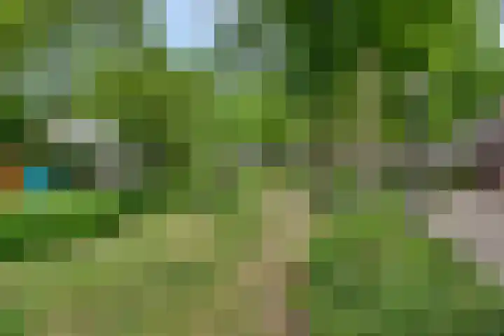 Sluiskeshoeven 24 Rosmalen thumbnail 29