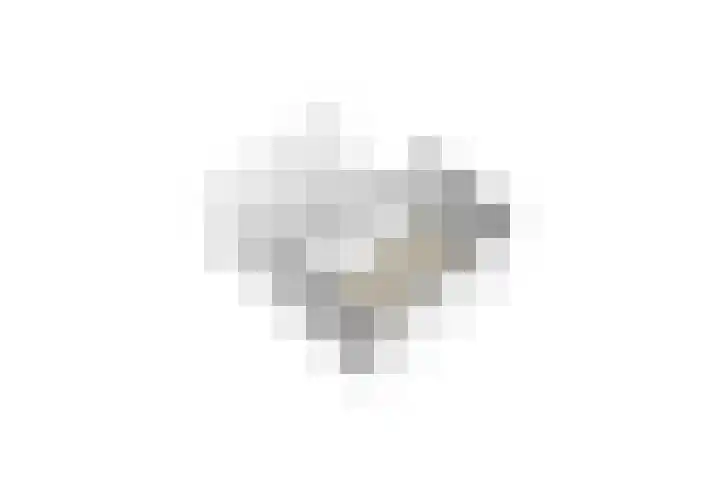 Sluiskeshoeven 24 Rosmalen thumbnail 36