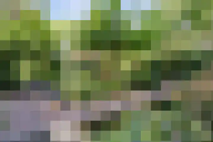 Sluiskeshoeven 4 Rosmalen thumbnail 43