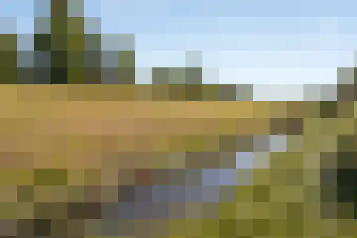 Sluiskolk 11 Leimuiden thumbnail 41