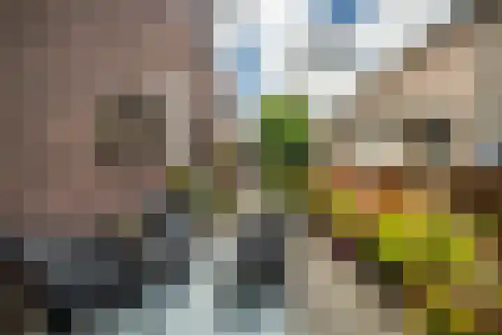 Sluispad 6 Ter Aar thumbnail 28