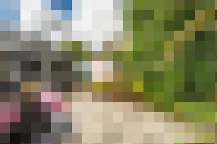 Sluispad 6 Ter Aar thumbnail 29