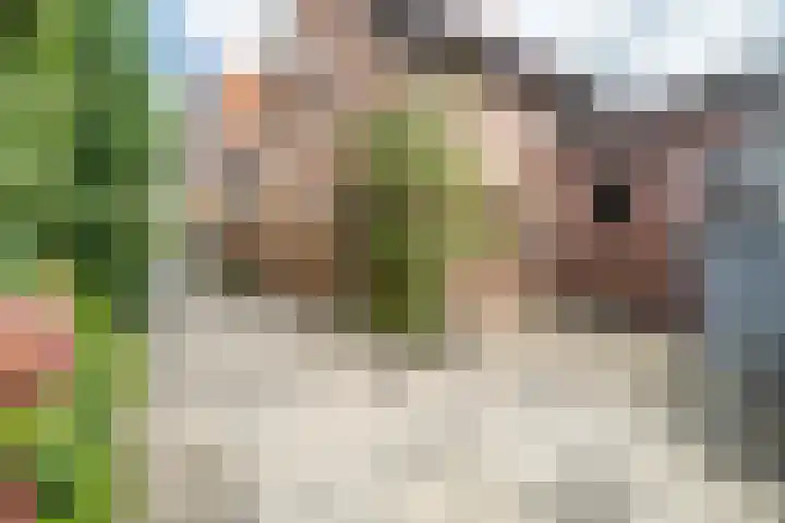 Sluispad 6 Ter Aar thumbnail 31