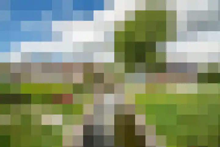 Sluispad 6 Ter Aar thumbnail 51