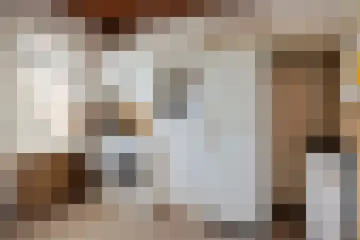 Sluispad 8 Burgh-Haamstede thumbnail 11