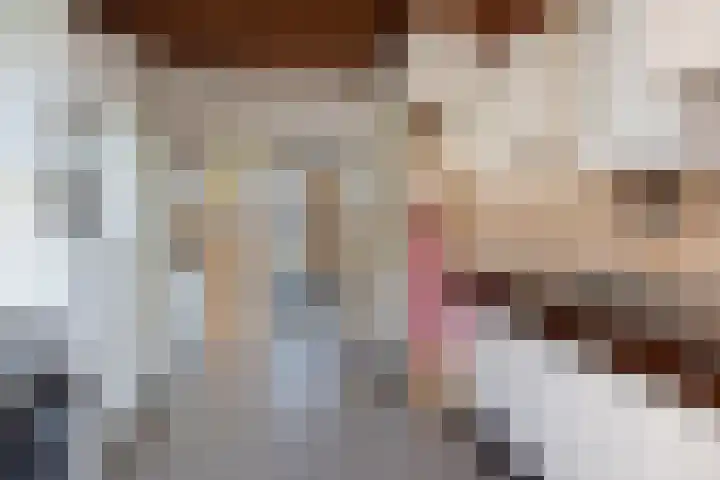 Sluispad 8 Burgh-Haamstede thumbnail 12
