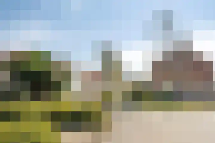 Sluispad 8 Burgh-Haamstede thumbnail 30