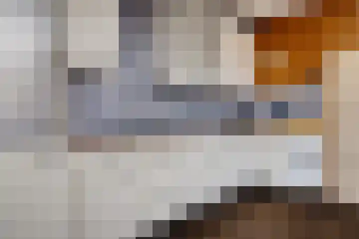 Sluisstraat 151 Assen thumbnail 8