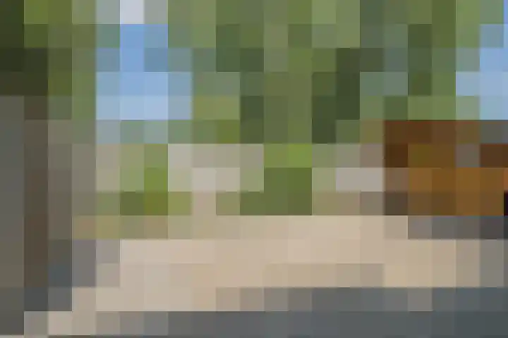 Sluisweg 38 Dongen thumbnail 39