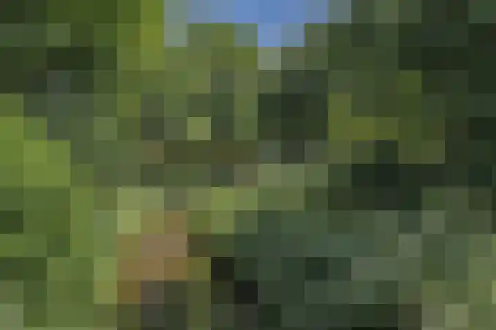 Sluisweg 38 Dongen thumbnail 41