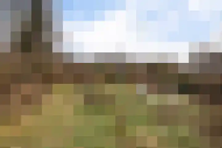Sluisweg 6 Veendam thumbnail 29