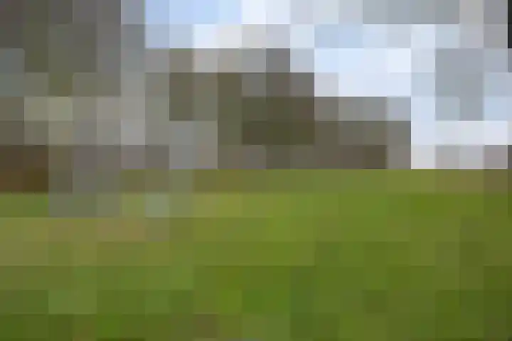 Sluisweg 6 Veendam thumbnail 31