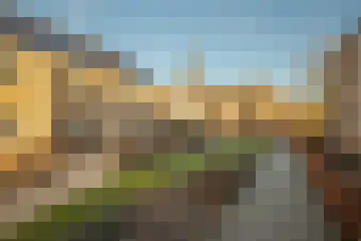 Sluitzegel 7 Zevenaar thumbnail 11