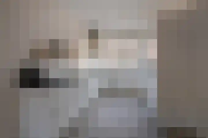 Sluitzegel 7 Zevenaar thumbnail 23