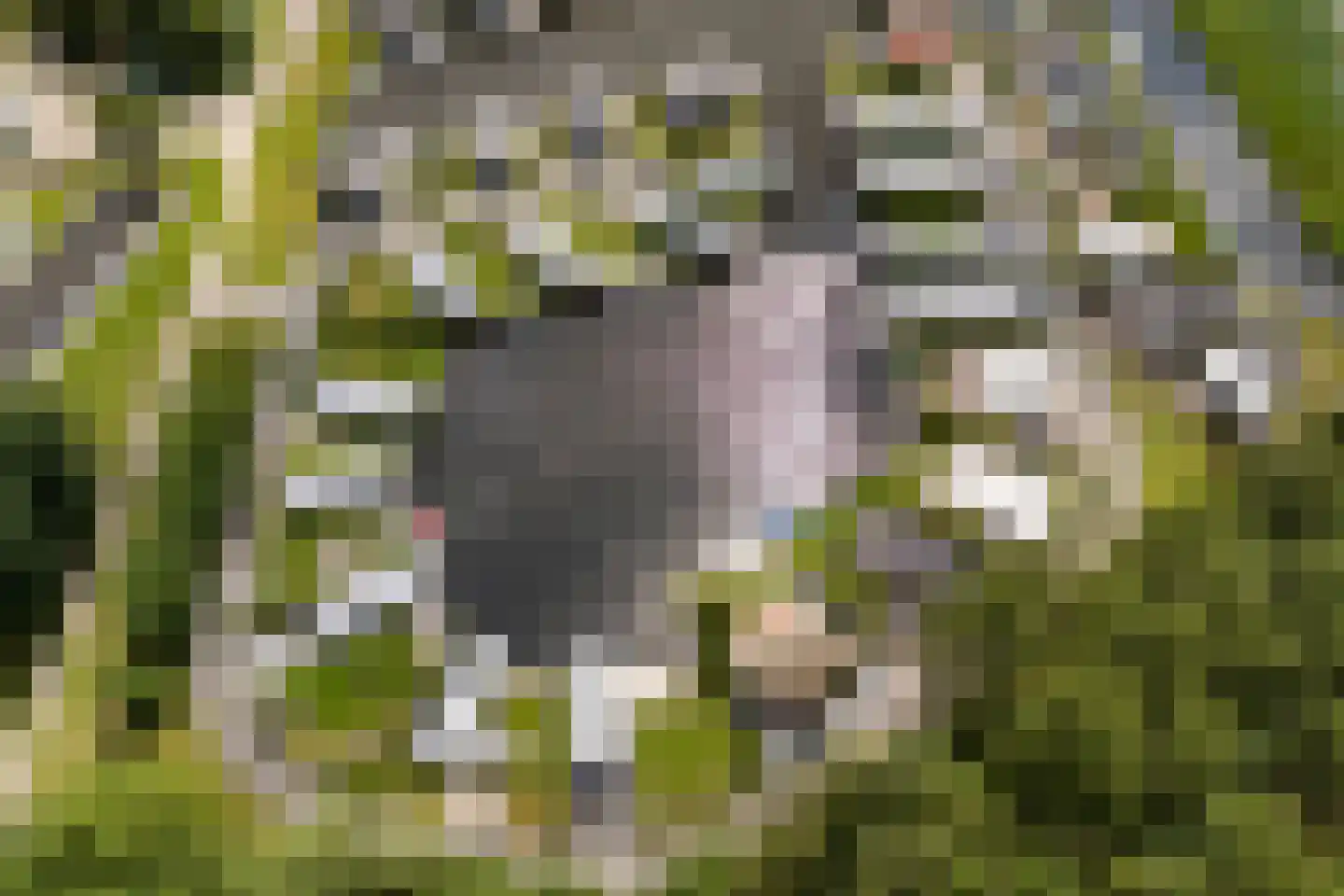 Slûs 23 Terherne thumbnail 15