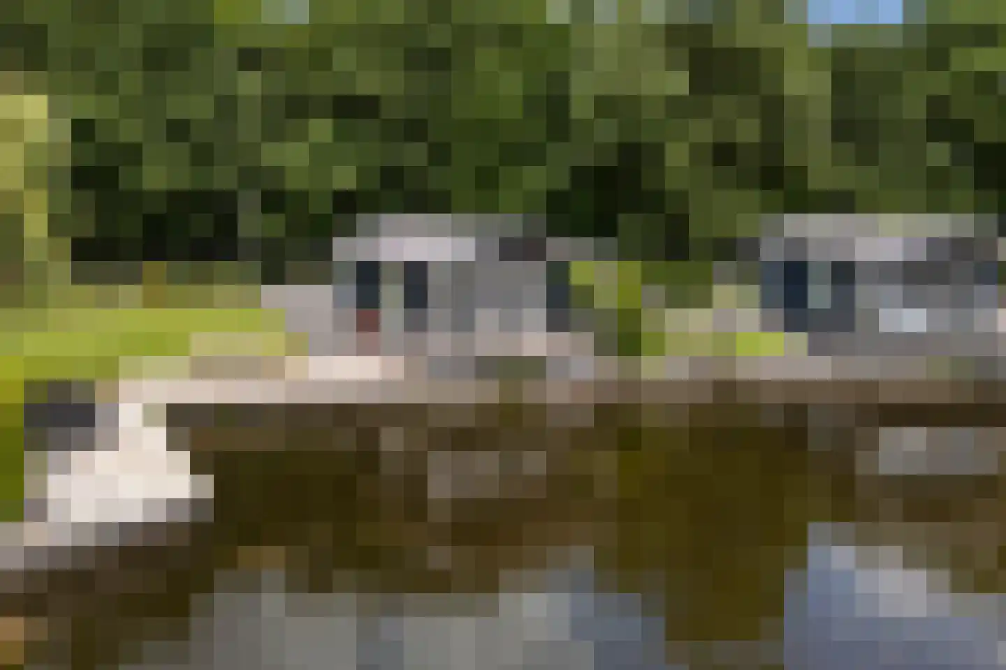 Slûs 23 Terherne thumbnail 22