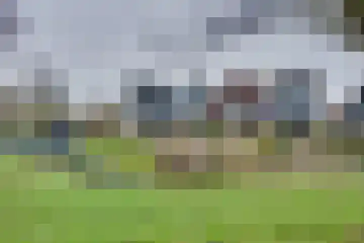 Sluuslaan 3 Middelharnis
