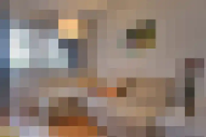 Sluuslaan 3 Middelharnis thumbnail 19