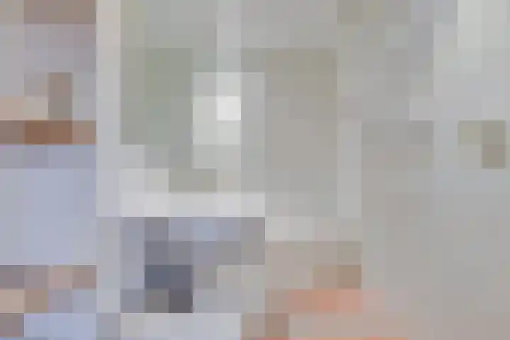 Sluuslaan 3 Middelharnis thumbnail 21