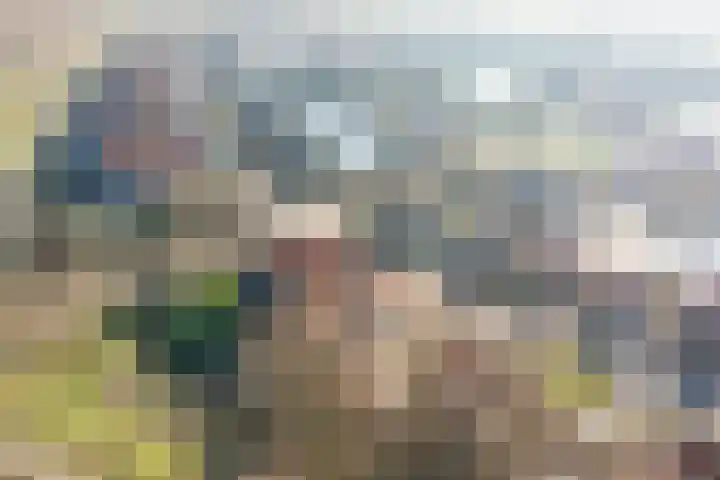 Sluuslaan 3 Middelharnis foto 3