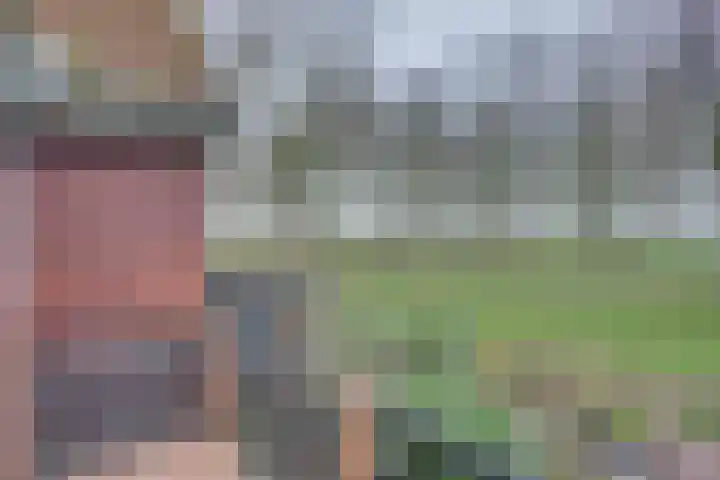 Sluuslaan 3 Middelharnis thumbnail 38