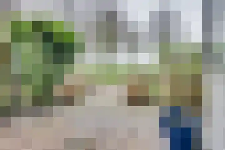 Sluuslaan 3 Middelharnis thumbnail 44