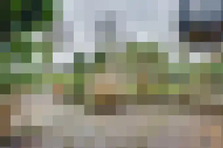 Sluuslaan 3 Middelharnis thumbnail 46