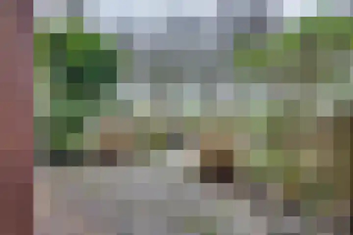 Sluuslaan 3 Middelharnis thumbnail 47
