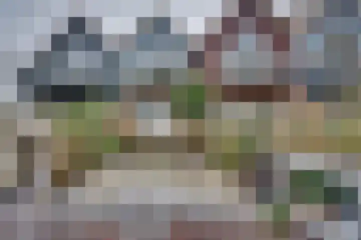 Sluuslaan 3 Middelharnis thumbnail 51