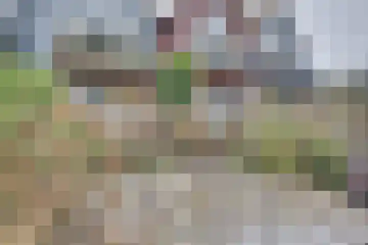 Sluuslaan 3 Middelharnis thumbnail 52