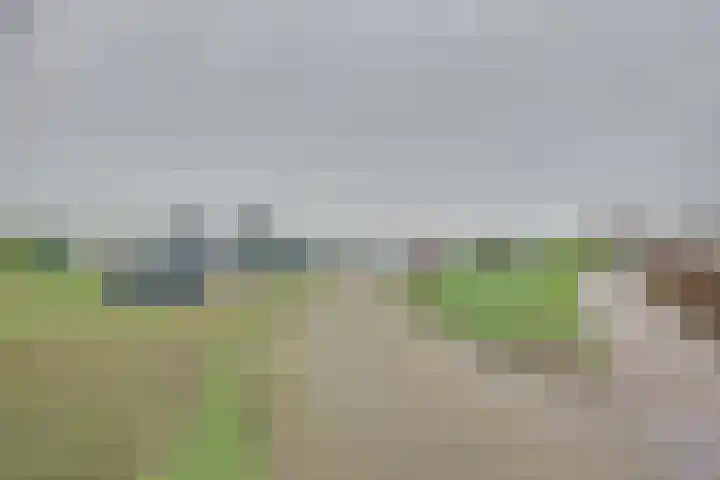 Sluuslaan 3 Middelharnis thumbnail 54