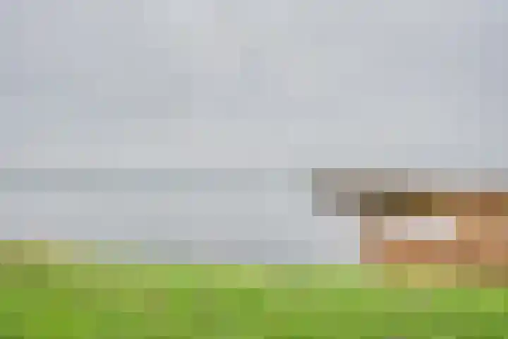 Sluuslaan 3 Middelharnis thumbnail 57