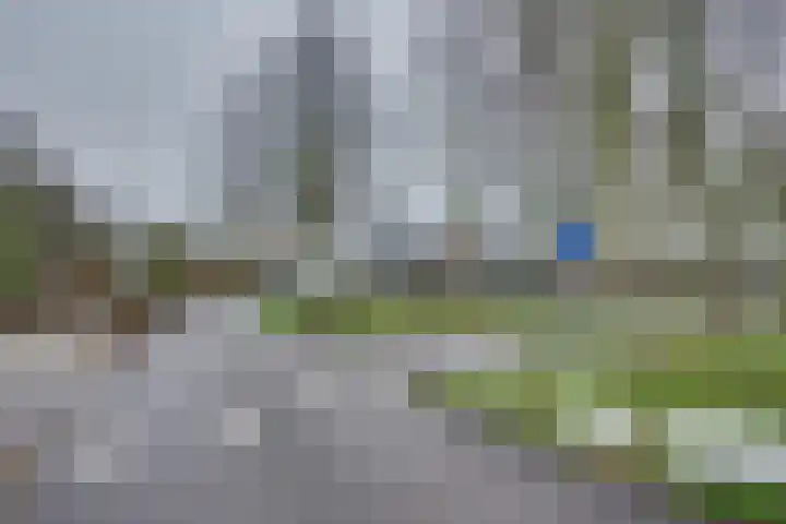 Sluuslaan 3 Middelharnis thumbnail 60