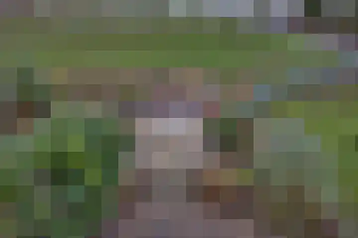 Sluuslaan 3 Middelharnis thumbnail 64