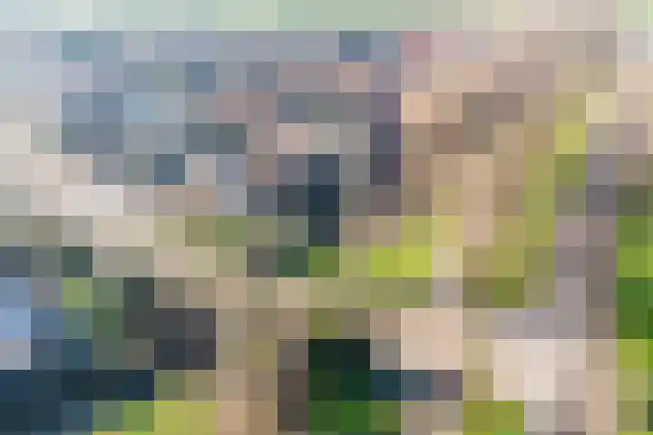 Sluuslaan 3 Middelharnis thumbnail 66