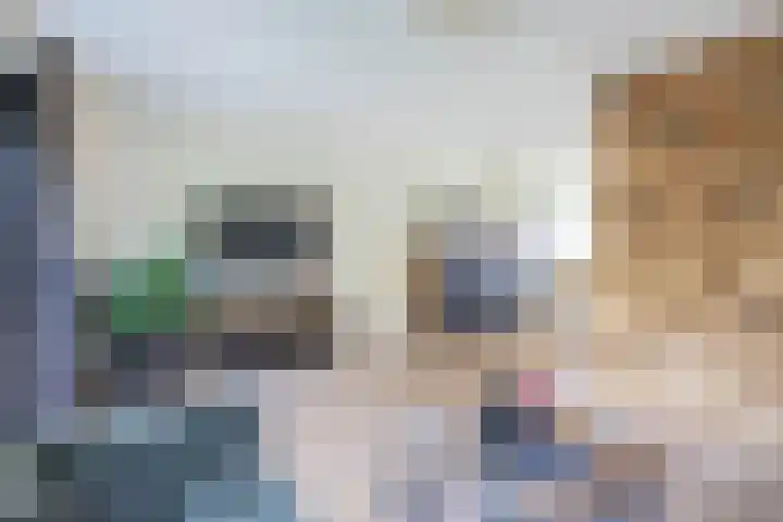 Sluuslaan 6 Middelharnis thumbnail 12