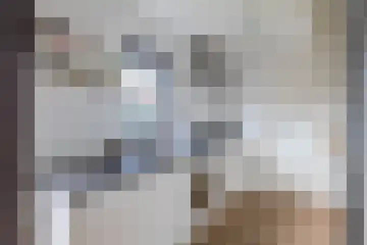 Sluuslaan 6 Middelharnis thumbnail 14