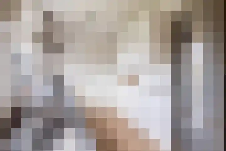 Sluuslaan 6 Middelharnis thumbnail 15
