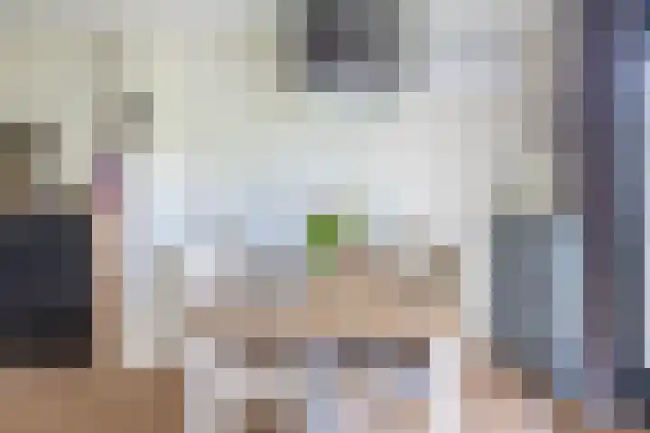 Sluuslaan 6 Middelharnis thumbnail 17