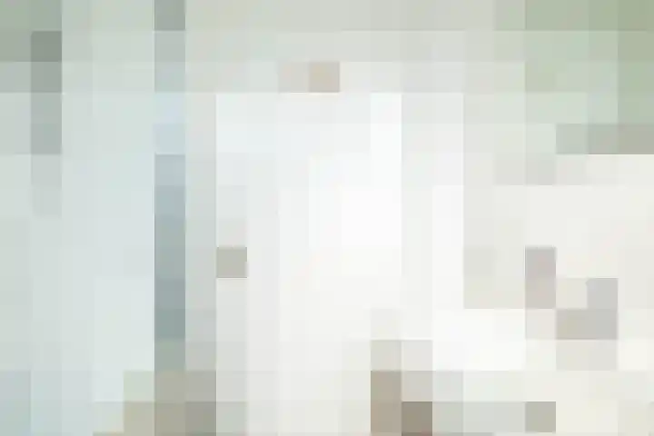 Sluuslaan 6 Middelharnis thumbnail 21