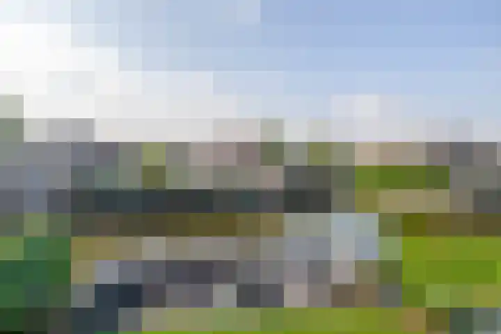 Sluuslaan 6 Middelharnis thumbnail 27