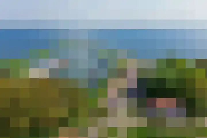 Sluuslaan 6 Middelharnis thumbnail 32
