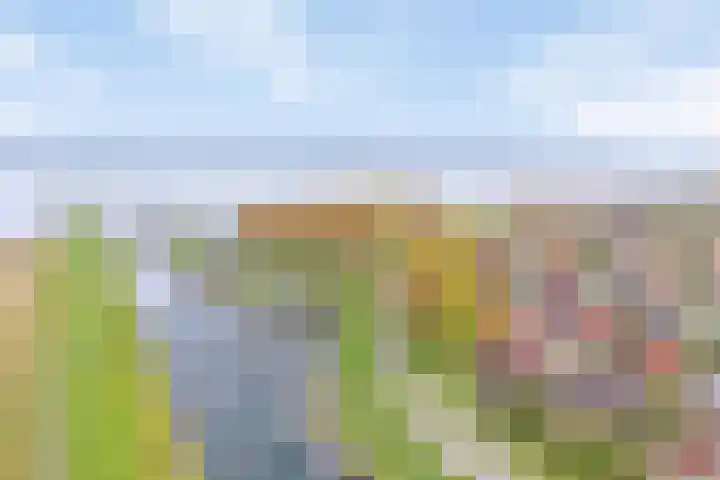 Sluuslaan 6 Middelharnis thumbnail 34