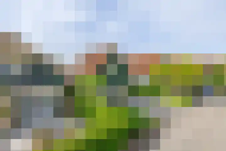 Sluuslaan 6 Middelharnis thumbnail 4