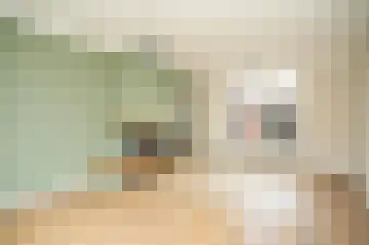 Smachtkamp 33 Opheusden thumbnail 5
