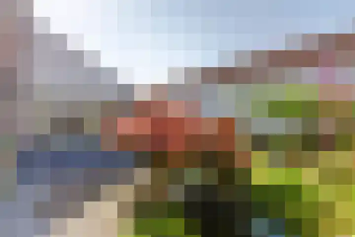 Smakterweg 9 A Venray thumbnail 38