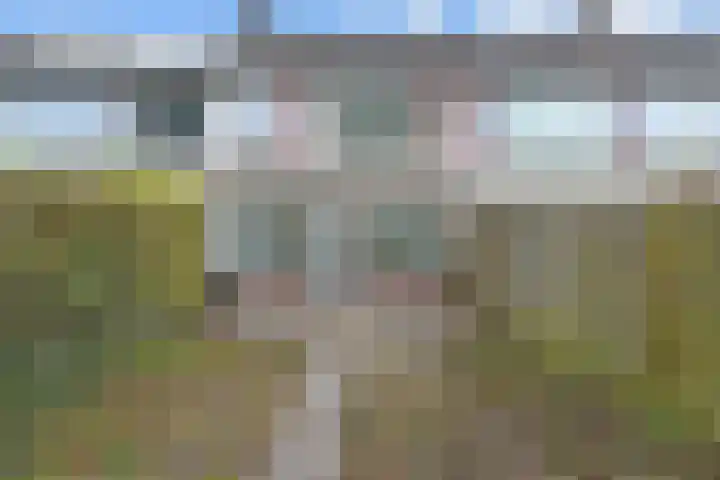 Smallingerland 29 Zoetermeer thumbnail 17